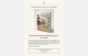 Une idée de cadeau pour Noël