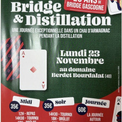 Bridge et Distillation
